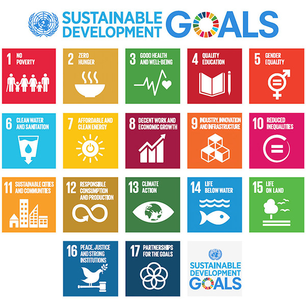 What Are The Sustainable Development Goals AgriWasteValue